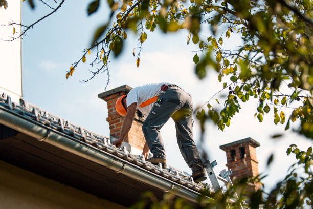 Best Storm Damage Roof Repair  in Ypsilanti, MI