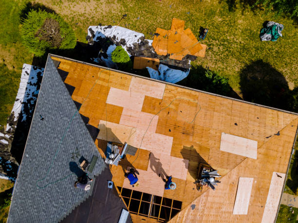 Best Flat Roof Repair Services  in Ypsilanti, MI