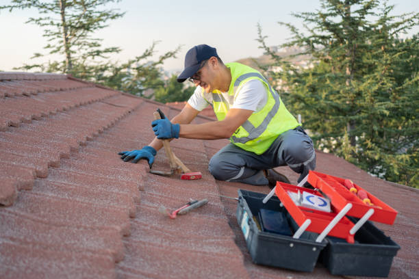 Roof Gutter Cleaning in Ypsilanti, MI