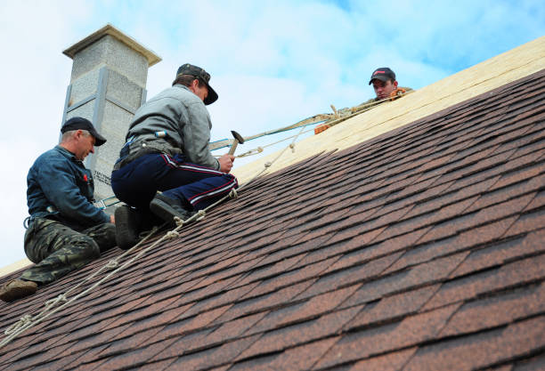 Best Tile Roofing Contractor  in Ypsilanti, MI